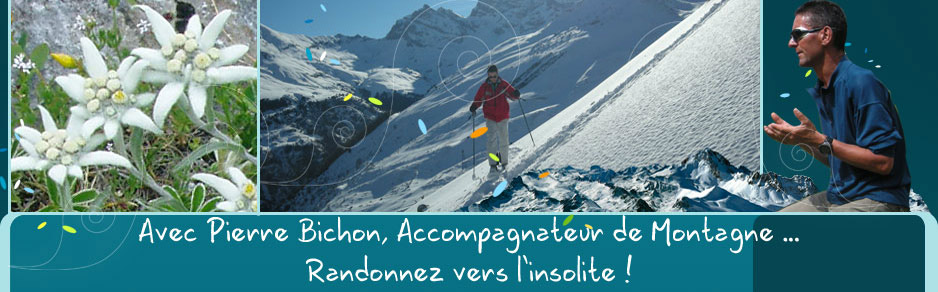 Pierre Bichon accompagnateur en Montagne