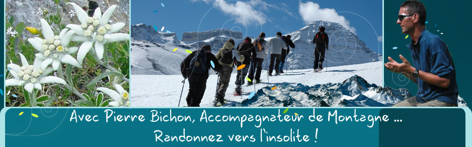 Pierre Bichon accompagnateur en Montagne